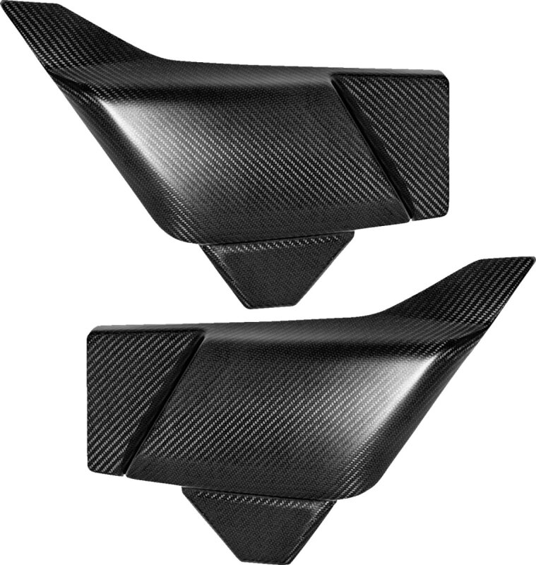 Side Cover - Carbon Fiber - Fl