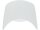 Windshield for Sportster 48 Models Raw