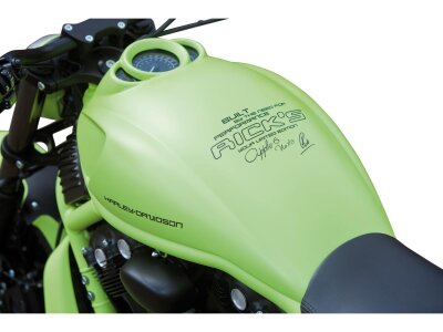Race Airbox Cover