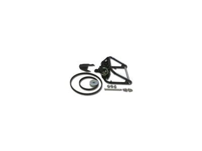 303 Trick n Roll Swingarm For Twin Cam 91