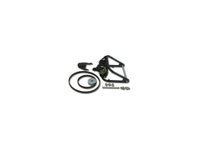 300 Trick n Roll Swingarm, With Drive Side Brake System/Side Mount Plate