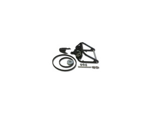300 Trick n Roll Swingarm, With Side Mount Plate