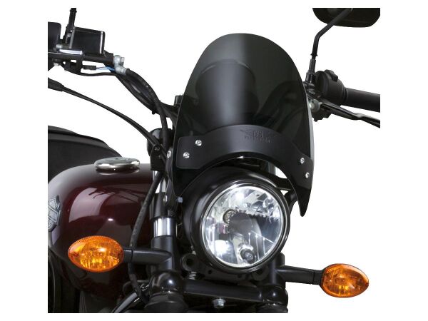 Flyscreen Windshield Kit Height: 8,5", Width:...