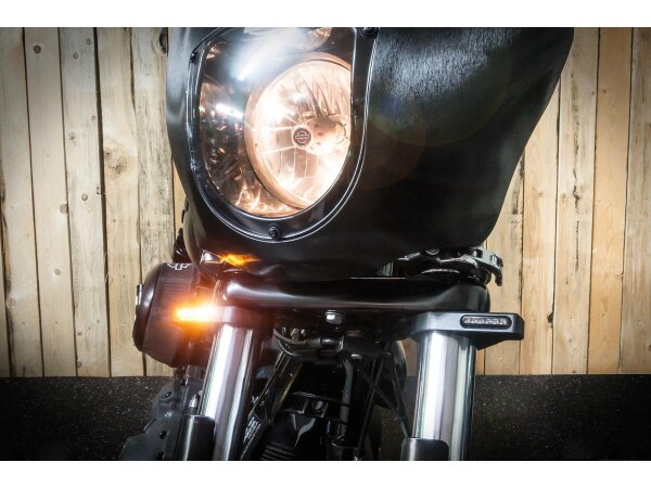 ZC-Line Classic LED Turn Signal Silver Anodized Clear LED