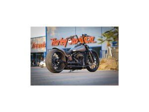 Rear Steel Fender for Twin Cam Softail (Narrow Frame) 260/18" Tire, With Taillight and Turn Signals Raw