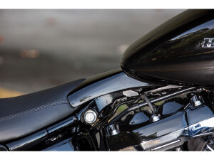 260 Tire Rear Fender Kit for M8 Softail With cover for closing gap between seat and tank