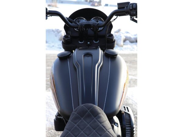 Dash Cover