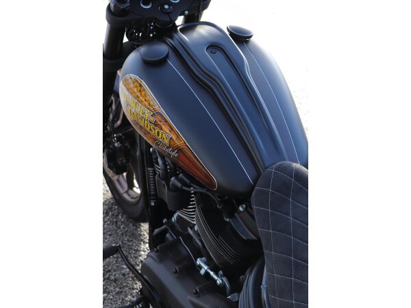 Dash Cover