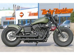 Rear Steel Fender for Twin Cam Dyna 200/18" Tire, No Lighting Raw