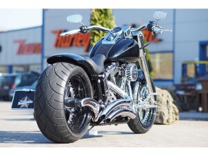 Rear Steel Fender for Twin Cam Softail (Narrow Frame) 200/18" Tire, With Taillight Raw