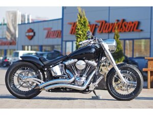 Rear Steel Fender for Twin Cam Softail (Narrow Frame) 200/18" Tire, With Taillight Raw