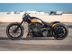 GP-Style Rear Fender For 240-260/18", With Taillight...