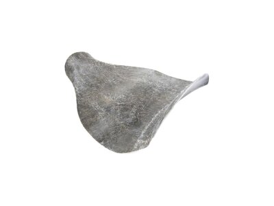 Fiber Glas Solo Seat Plate for Thunderbike Steel Fender For 260/18" Tire and TB Alu-Tank