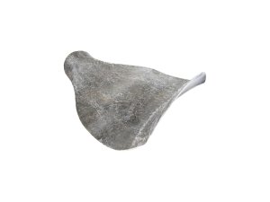 Fiber Glas Solo Seat Plate for Thunderbike Steel Fender...