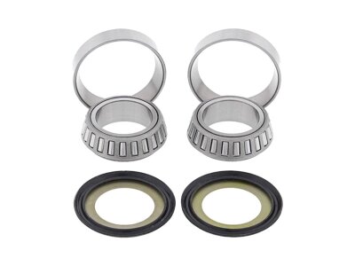 Steering Bearing Kit Including Seals and Bearings with Races