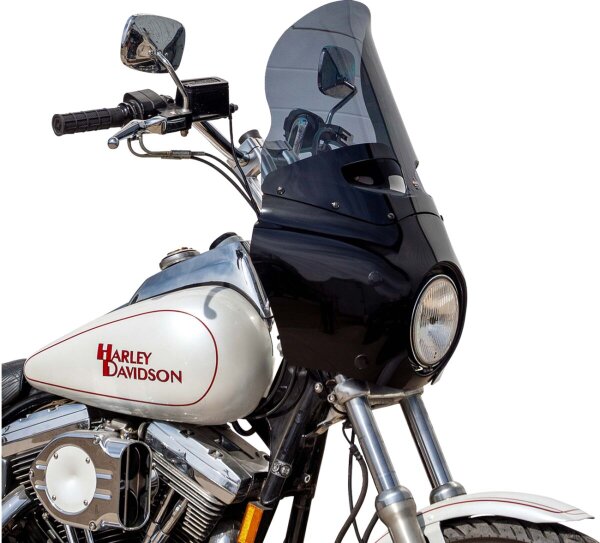 Windshield Road Warrior Fairin