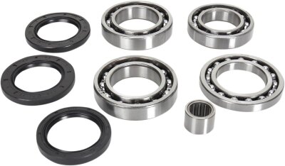 Bearing Kit Diff Rr Ac