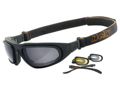 Eagle Biker Goggles