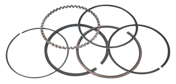 TS1 ring set 3-13/16"+.020 (DE)