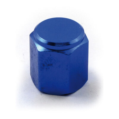 Valve stem cap 19 | Lieferumfang: Nur ein Teil des abgebildeten Artikels.
