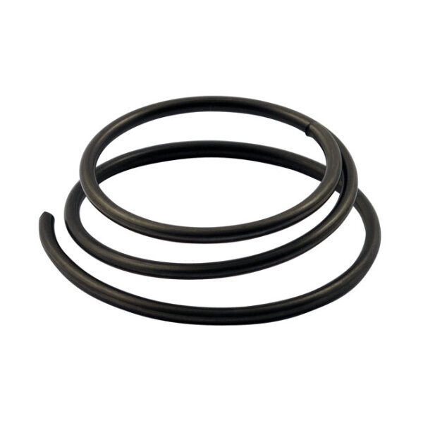 Kickstart starter clutch spring