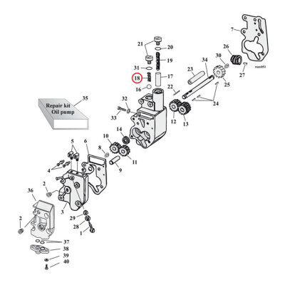 Spring, check valve | Lieferumfang: Nur ein Teil des abgebildeten Artikels.