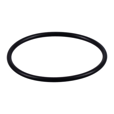 Athena, carburetor to manifold spacer block o-ring