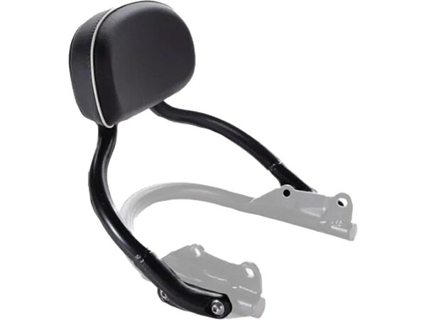 Legacy Edition Backrest and rear Rail Assy