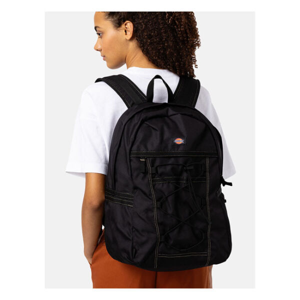 Dickies Ashville backpack black One size fits most