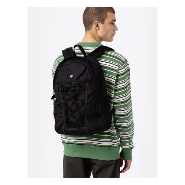 Dickies Ashville backpack black One size fits most