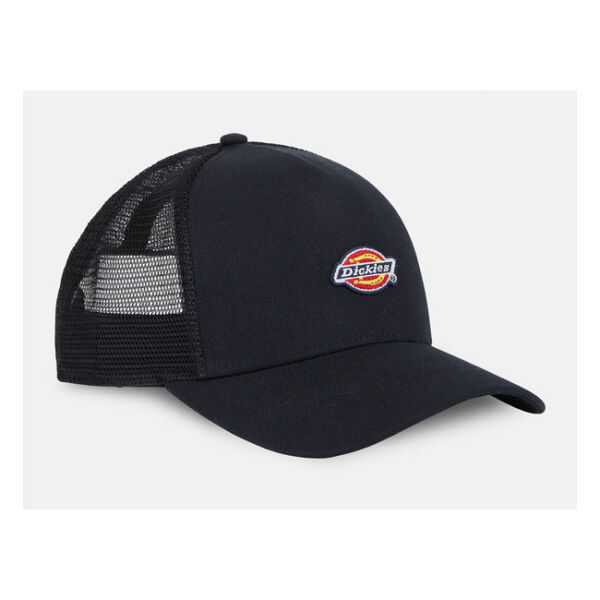 Dickies Hanston trucker cap black One size fits most