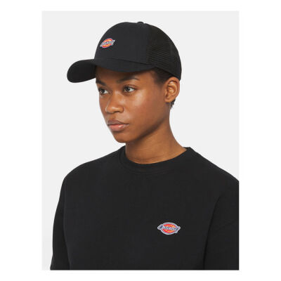 Dickies Hanston trucker cap black One size fits most
