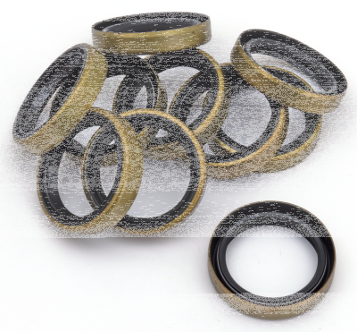 GZP 10pck Oil seal 5th gear mainshaft (DE)
