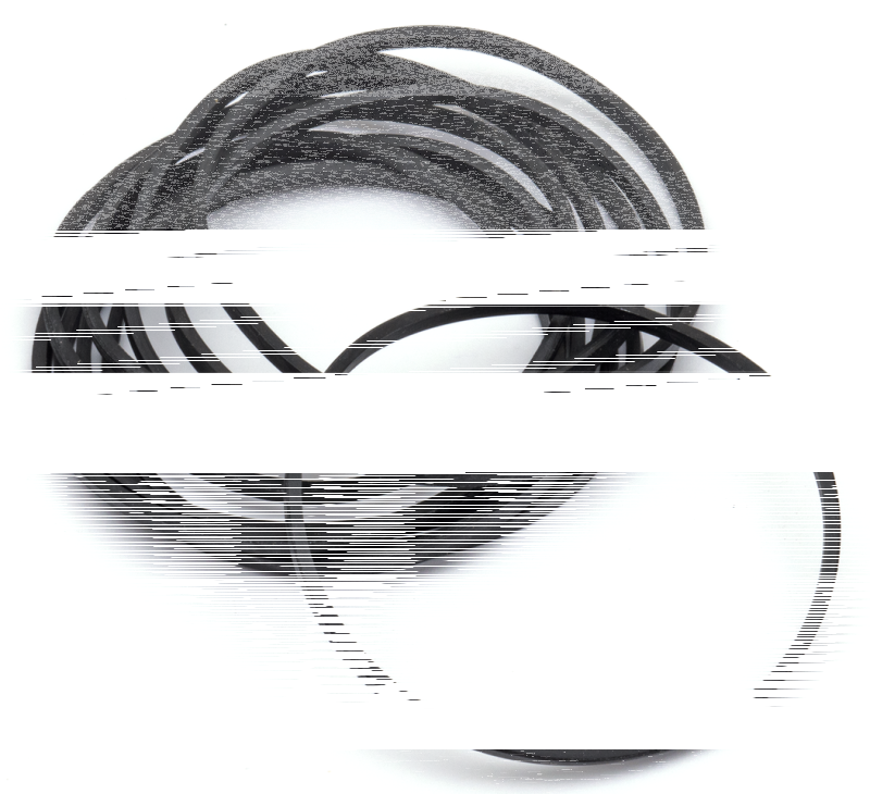 GZP 10pck O-ring oil pump cover XL77-90 (DE)
