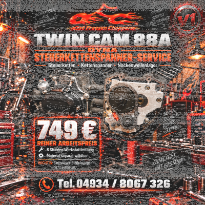 Steuerkettenspannerwechsel Twin Cam A Dyna V1
