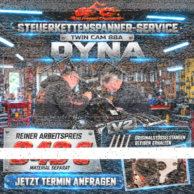 Steuerkettenspannerwechsel Twin Cam A Dyna V2