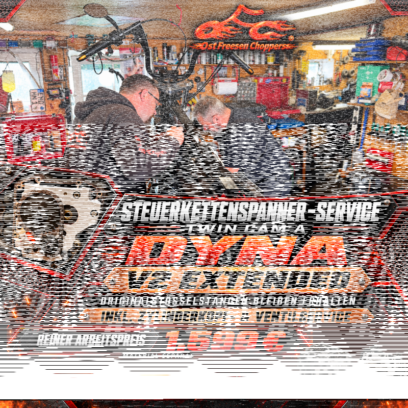 Steuerkettenspannerwechsel Twin Cam A Dyna V2 Extended